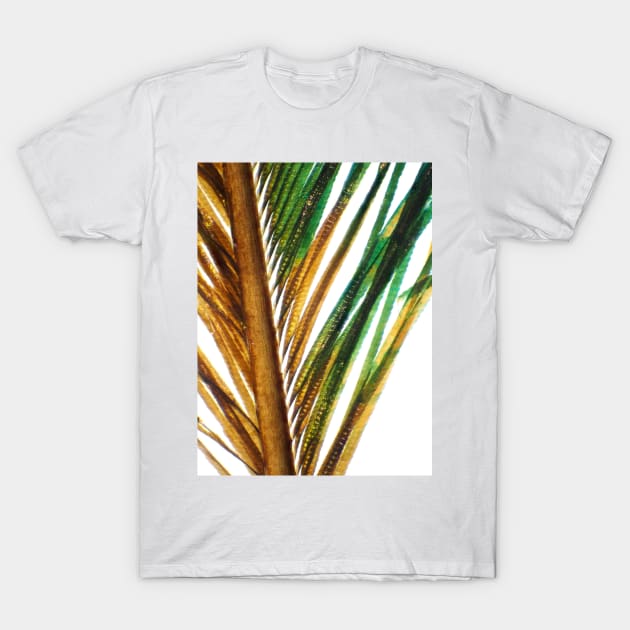 Peacock feather under the microscope T-Shirt by SDym Photography